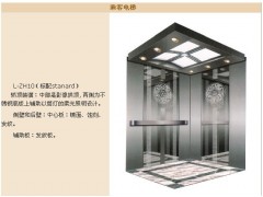 观澜住宅楼乘客电梯费用，观澜农民房载人电梯价格