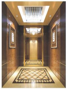 东莞大岭山电梯公司，东莞大岭山电梯加装，东莞大岭山公寓电梯